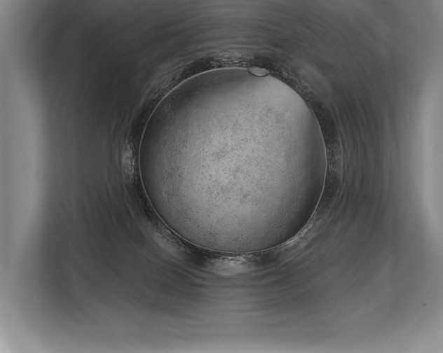 X0000113740086200909231201