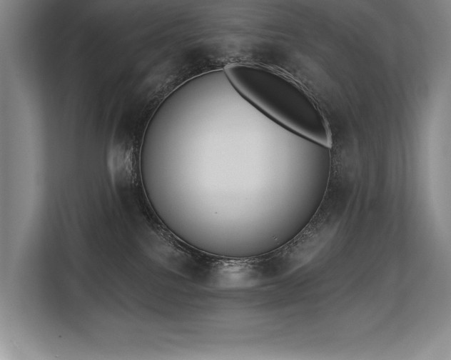 X0000113740088200909231201