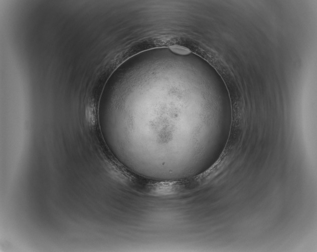 X0000113740090200909231201