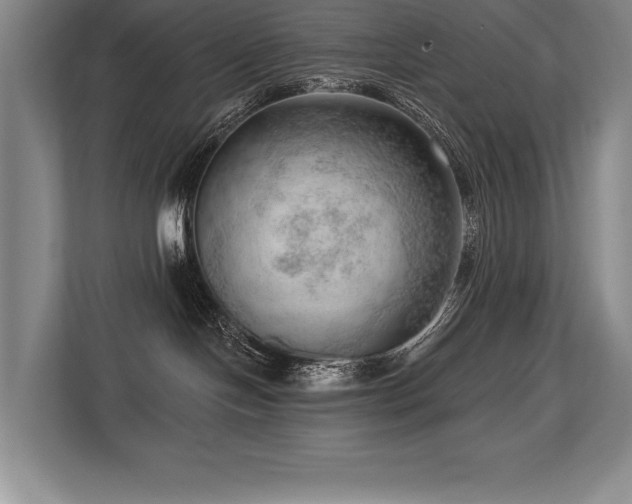 X0000113740094200909231201