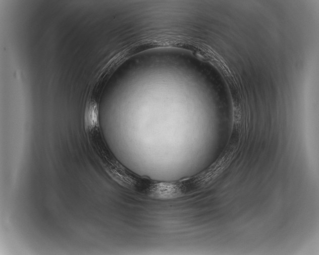 X0000113740095200909231201