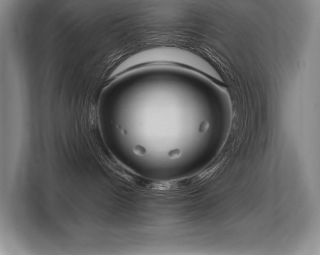 X0000113740096200909231201