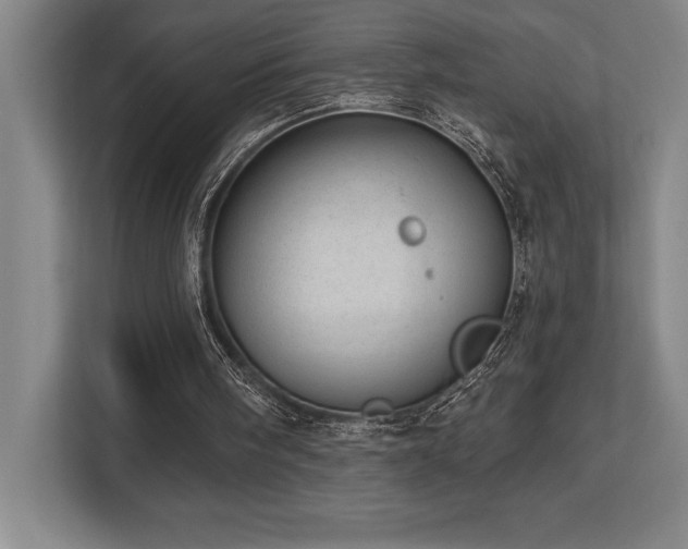 X0000113740098200909231200