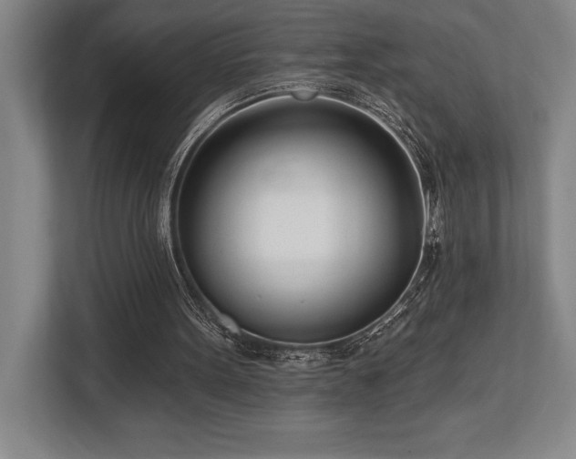 X0000113740099200909231200