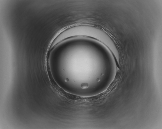 X0000113740100200909231200