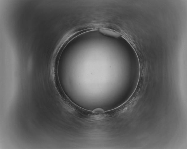 X0000113740103200909231200