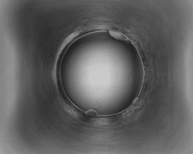 X0000113740104200909231200