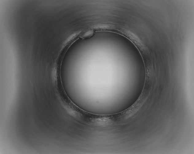 X0000113740112200909231200