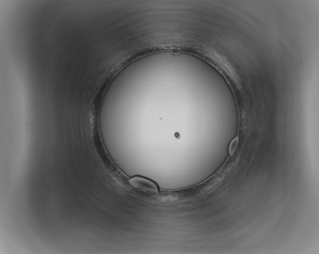 X0000113740113200909231200