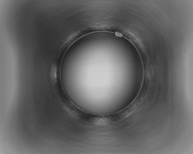 X0000113740115200909231200