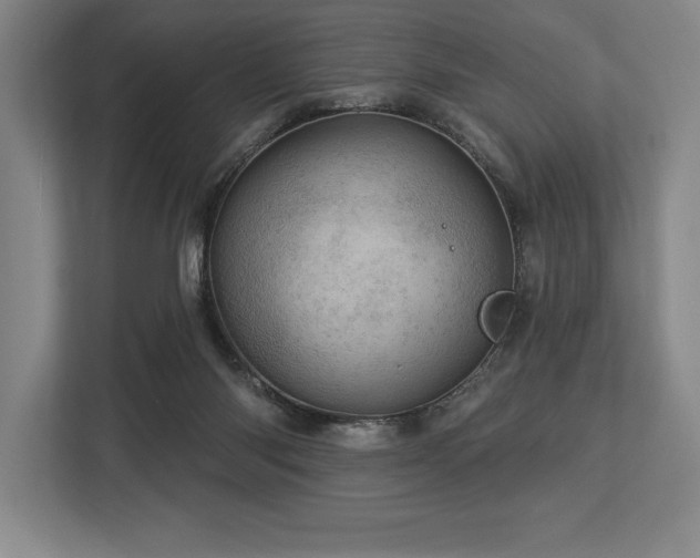 X0000113740118200909231200