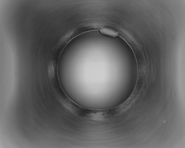 X0000113740120200909231200