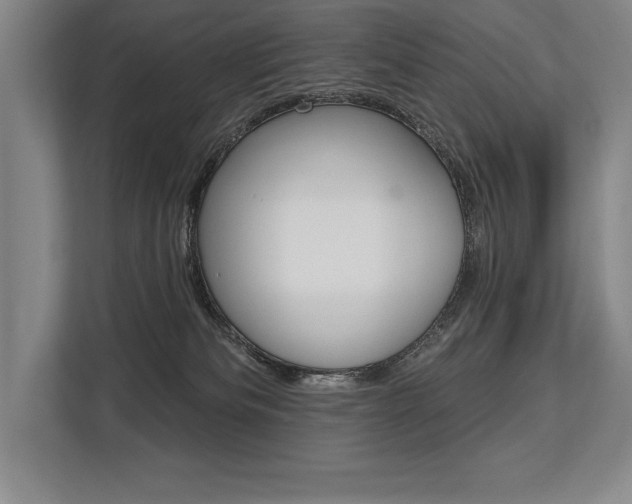 X0000113740133200909231200