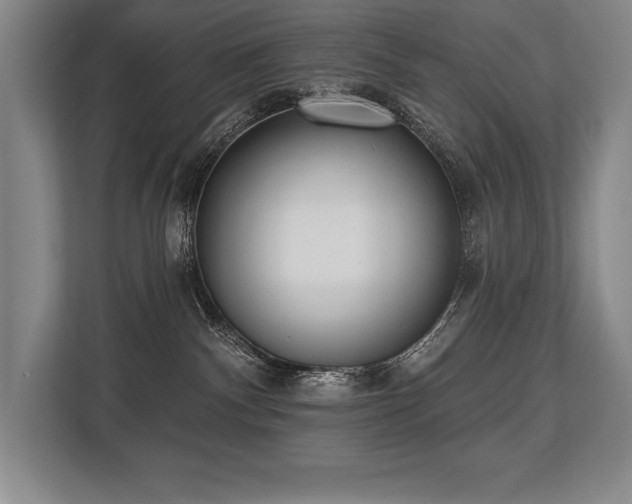 X0000113740140200909231200