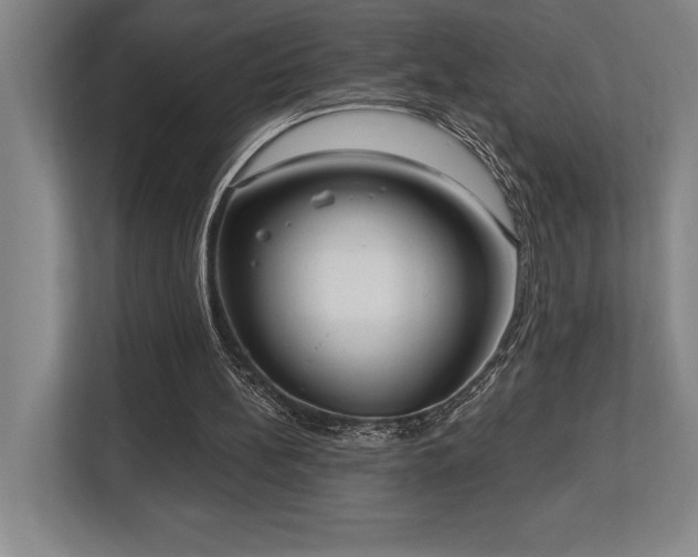 X0000113740148200909231159