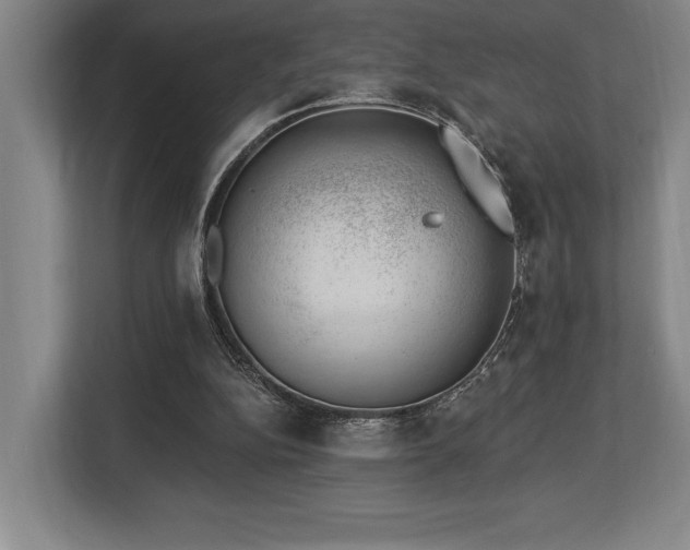 X0000113740152200909231159