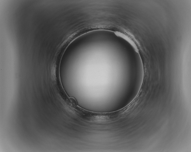 X0000113740154200909231159