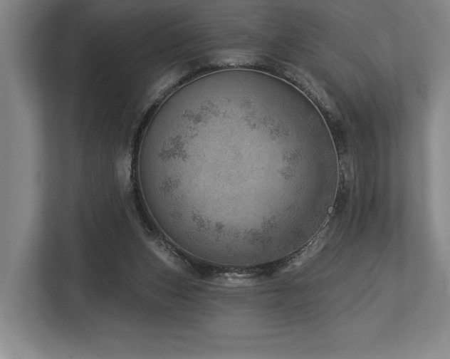 X0000113740159200909231159