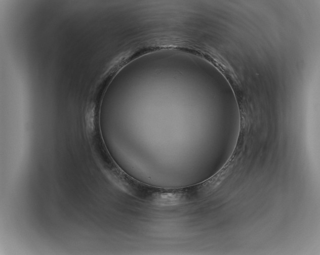 X0000113740163200909231159