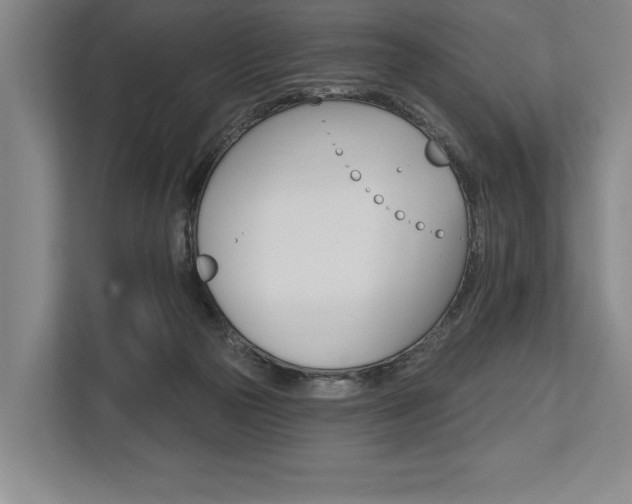 X0000113740169200909231159