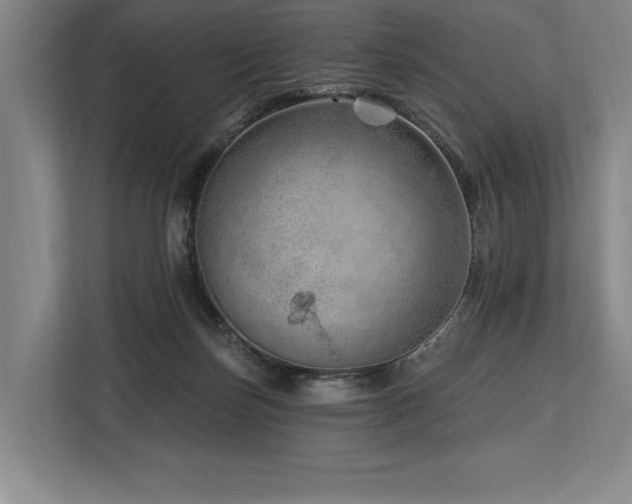 X0000113740171200909231159