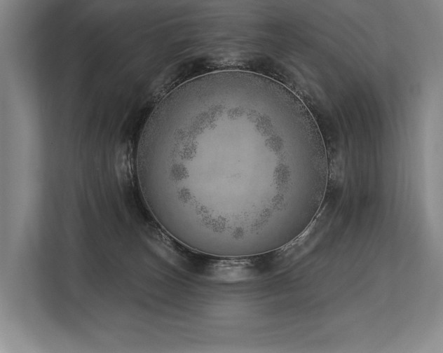 X0000113740179200909231200