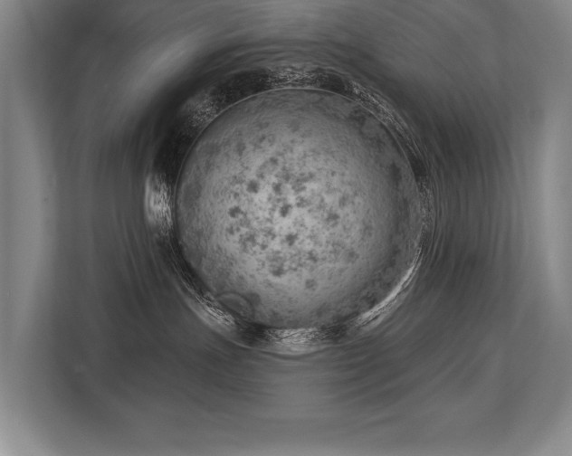 X0000113740191200909231200