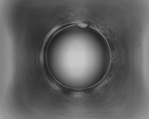 X0000113740200200909231159