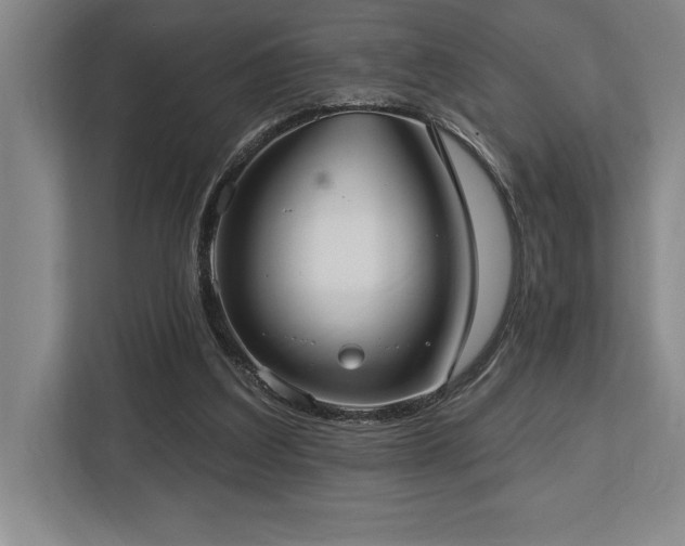 X0000113740203200909231159