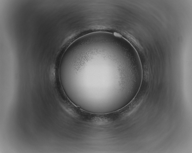 X0000113740207200909231159