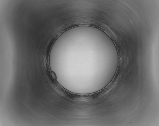 X0000113740209200909231159