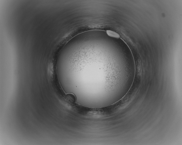 X0000113740211200909231159