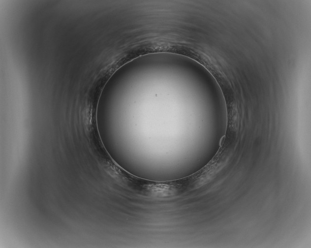 X0000113740230200909231159