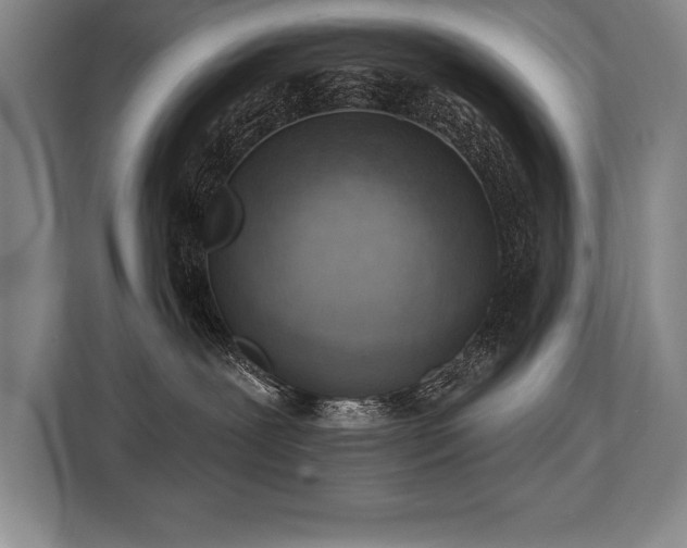 X0000113740239200909231158