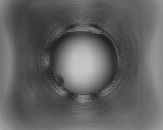 X0000113740240200909231158