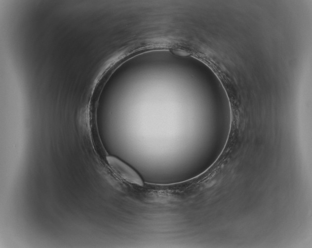 X0000113740244200909231158