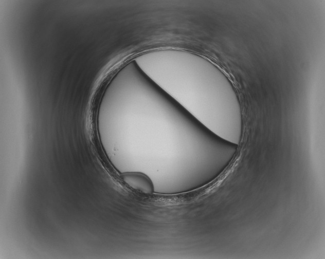 X0000113740245200909231158