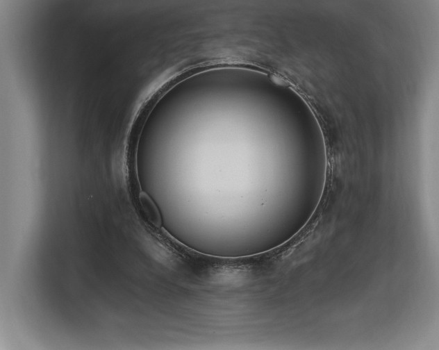 X0000113740248200909231158