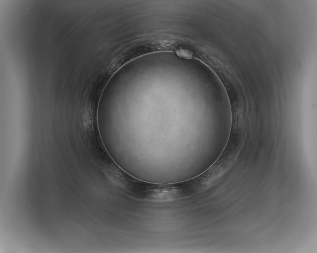 X0000113740274200909231158