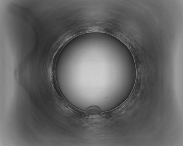 X0000113740290200909231158