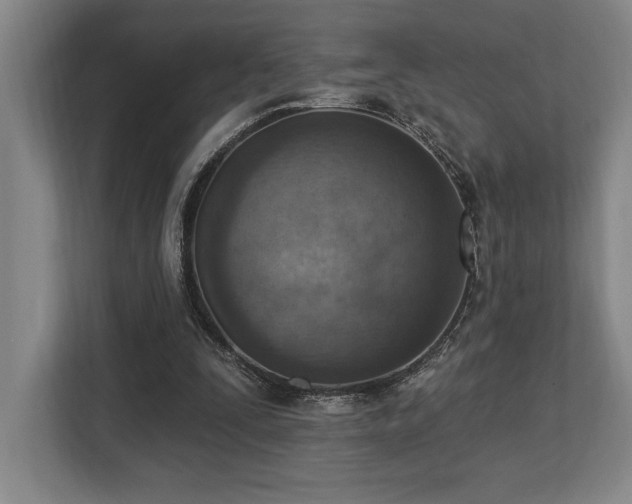 X0000113740295200909231158