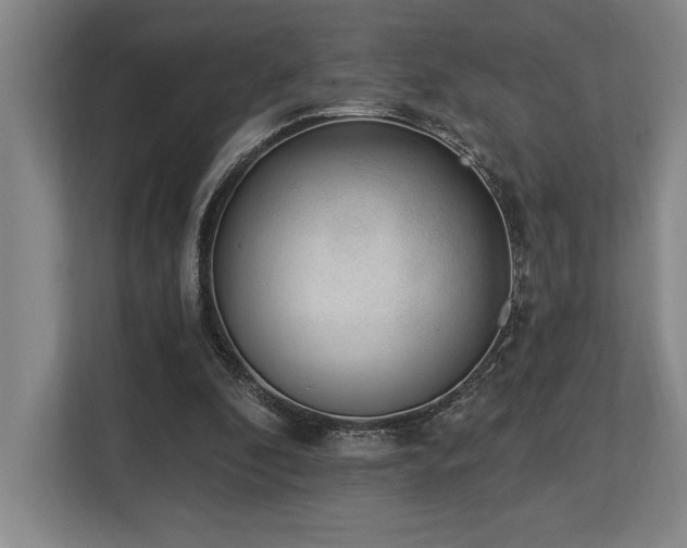 X0000113740296200909231158