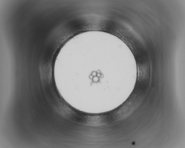 X0000113740301200909231158