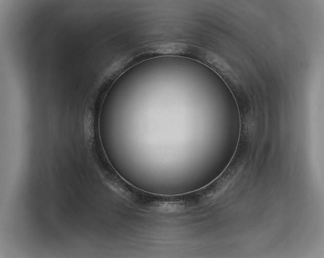 X0000113740303200909231158