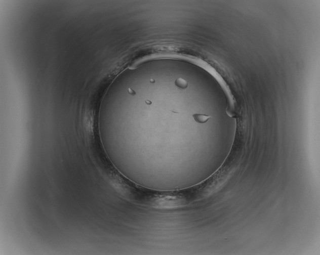 X0000113740315200909231157