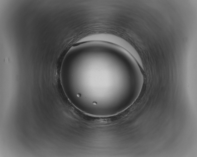 X0000113740320200909231157