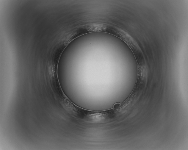 X0000113740326200909231157