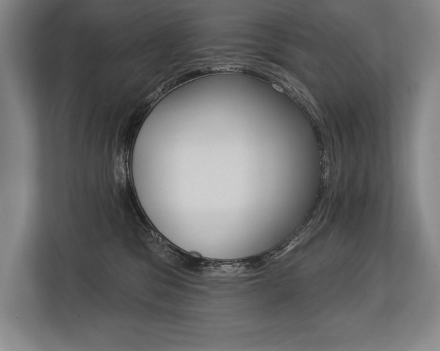 X0000113740329200909231157