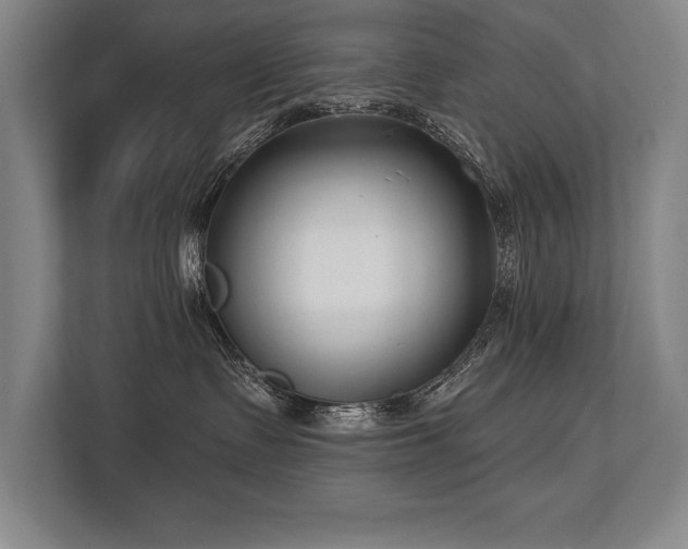 X0000113740335200909231157