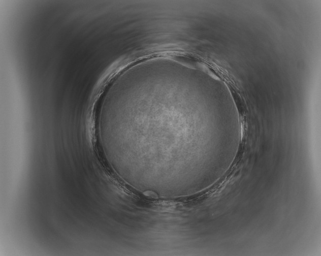 X0000113740339200909231157